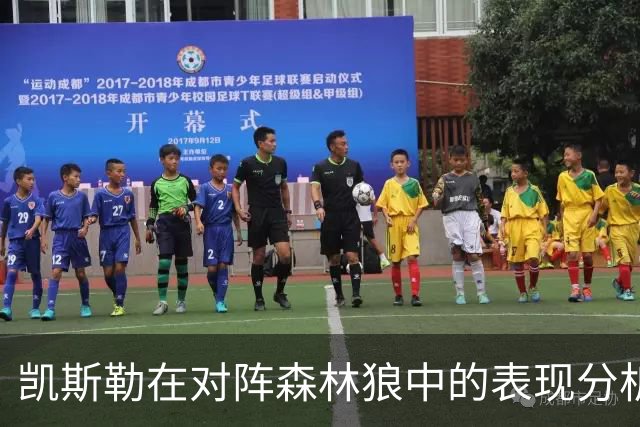 凯斯勒在对阵森林狼中的表现分析